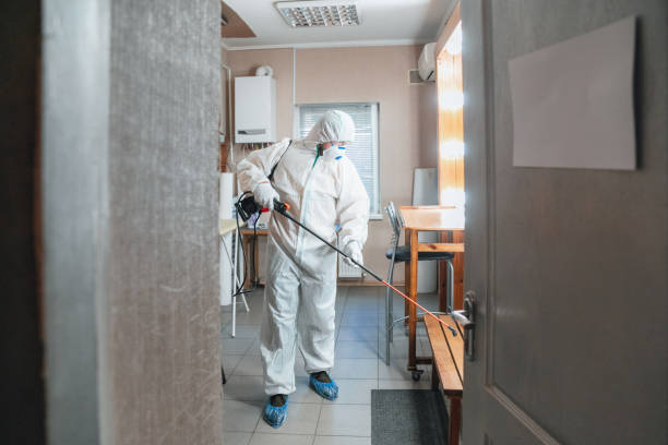Best Indoor Air Quality Assessment  in Steele Creek, AK