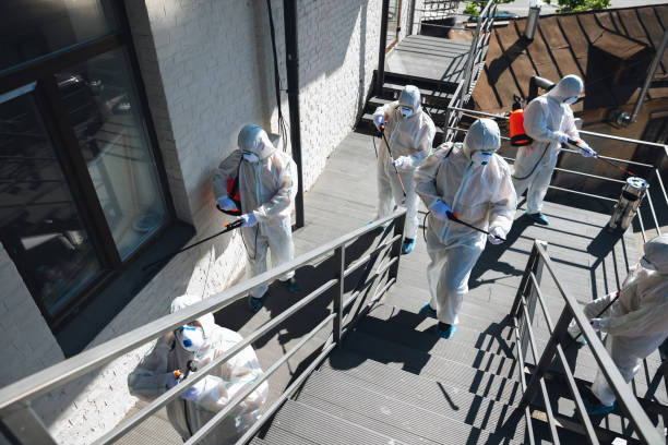 Best Mold Odor Removal Services  in Steele Creek, AK