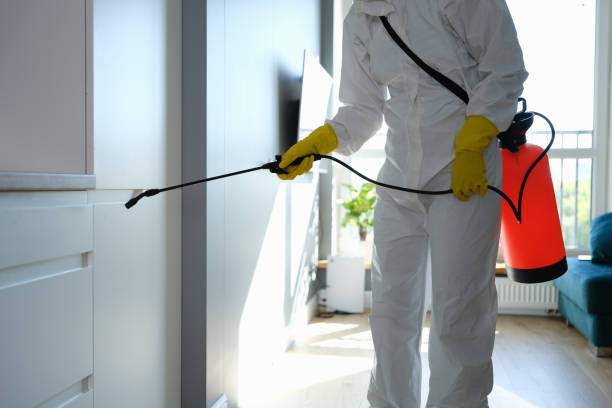 Asbestos and Lead Testing During Mold Inspection in Steele Creek, AK