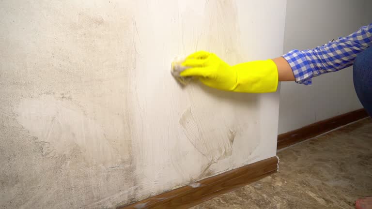 Dehumidification Services in Steele Creek, AK