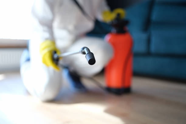 Best Emergency Mold Remediation  in Steele Creek, AK