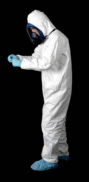 Mold Removal for HVAC Installations in Steele Creek, AK